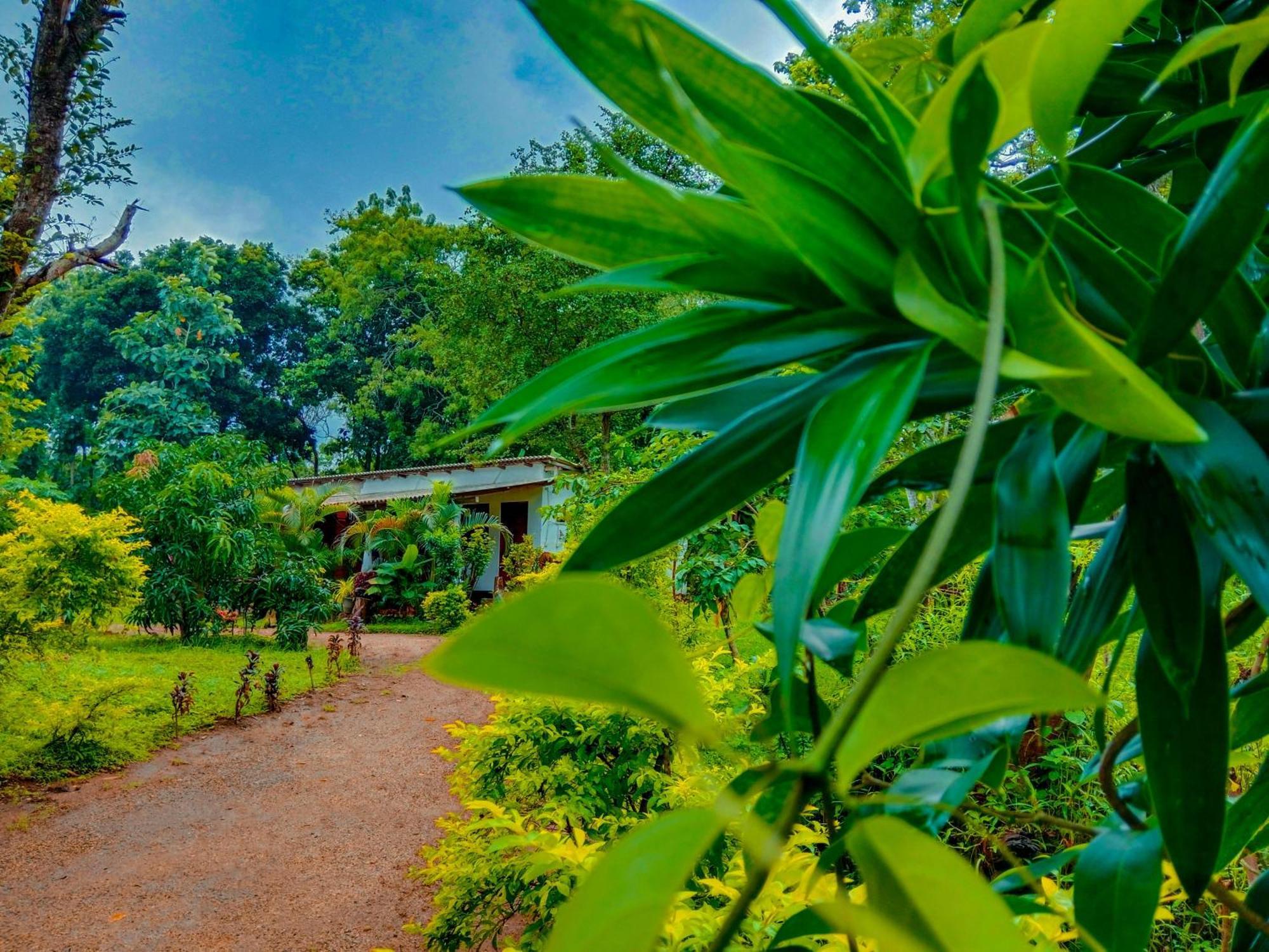 Chanaka Holiday Inn Sigiriya Dış mekan fotoğraf
