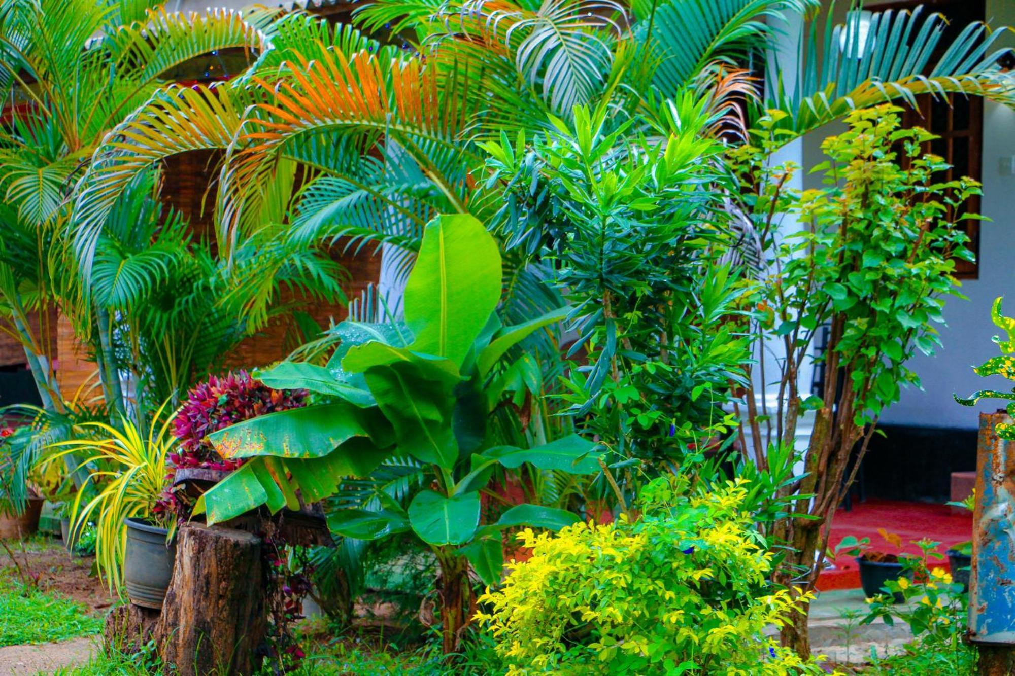 Chanaka Holiday Inn Sigiriya Dış mekan fotoğraf