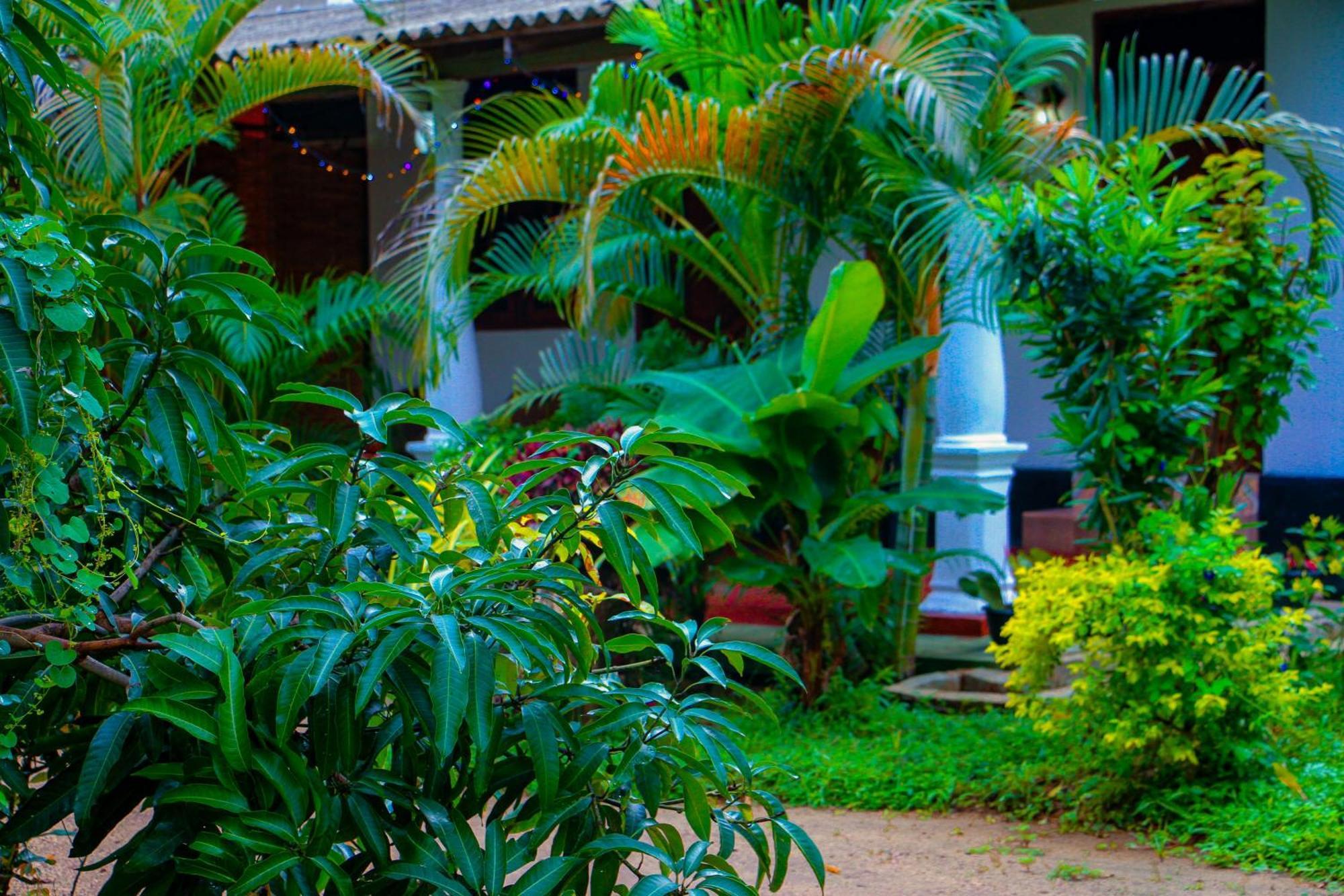 Chanaka Holiday Inn Sigiriya Dış mekan fotoğraf